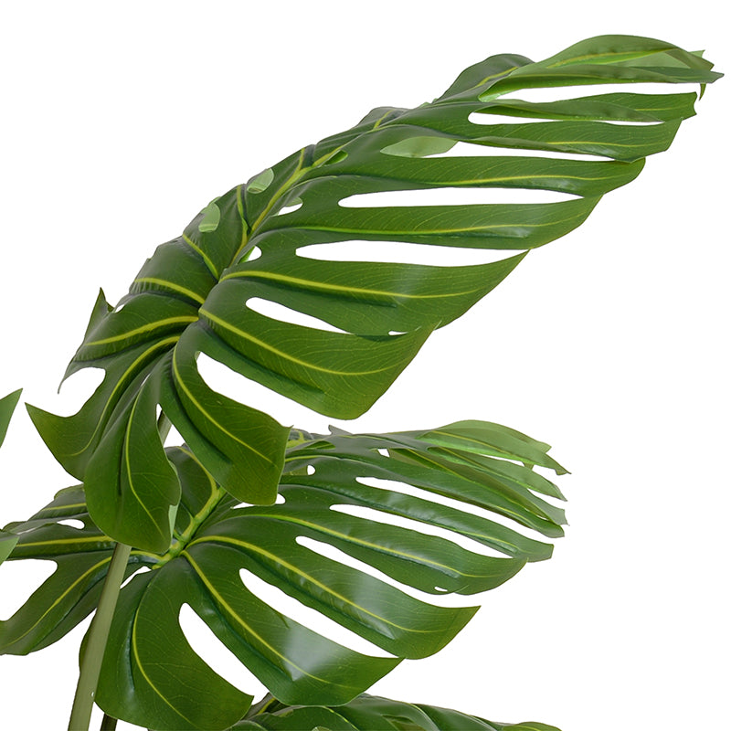 Monstera Leaves in Porcelain