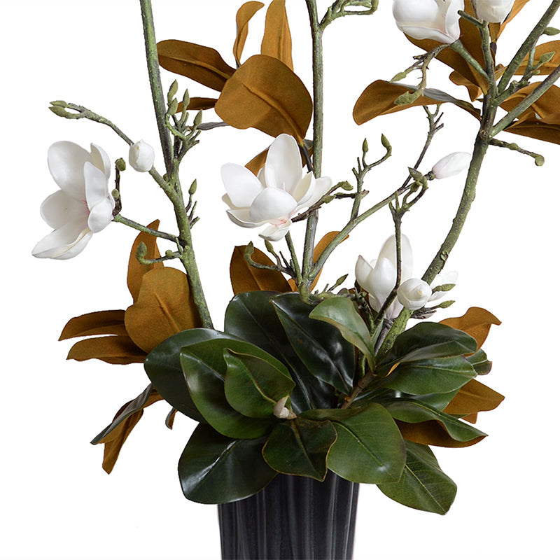 Tulip Magnolia Branches in Porcelain Vase