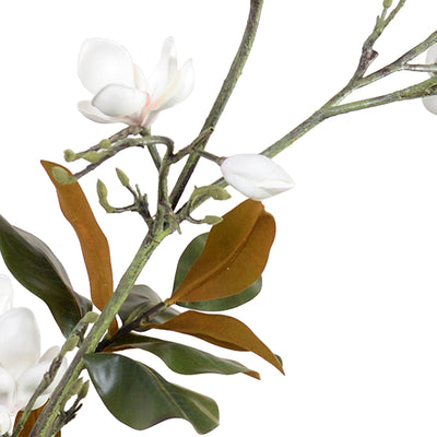 Tulip Magnolia Branches in Porcelain Vase