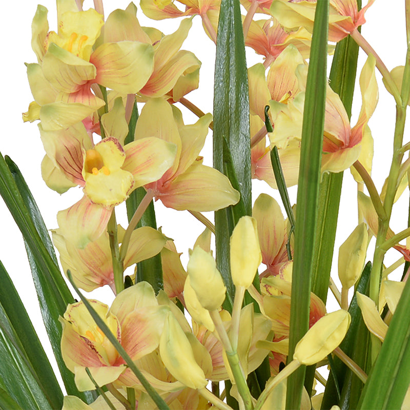 Cymbidium Orchids in Porcelain Vase, 35"H