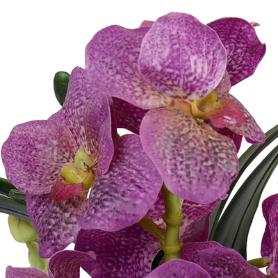 Vanda Orchids in Porcelain, 17"H