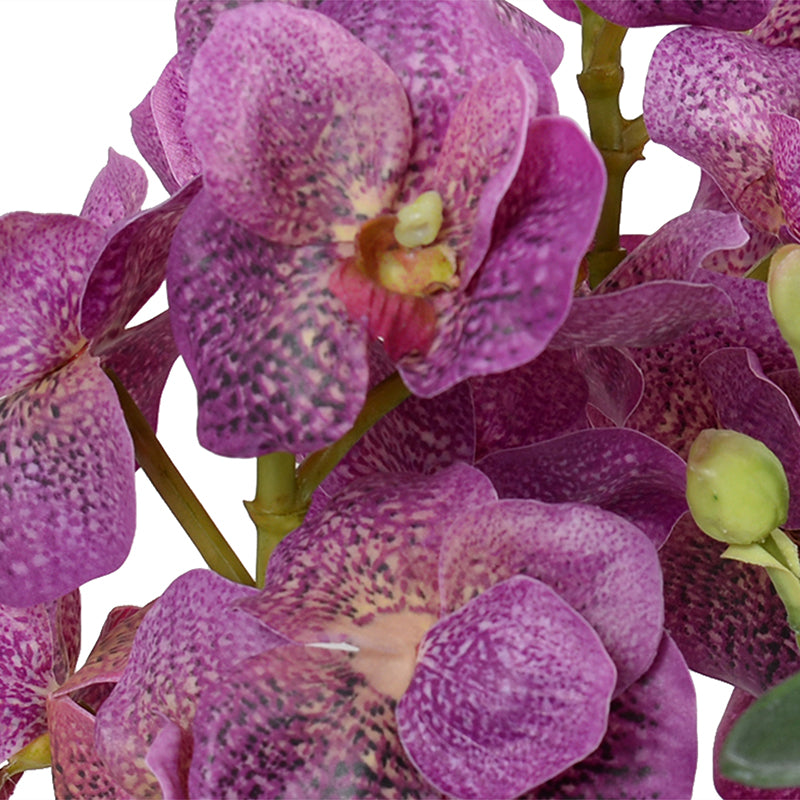 Vanda Orchids in Porcelain, 17"H