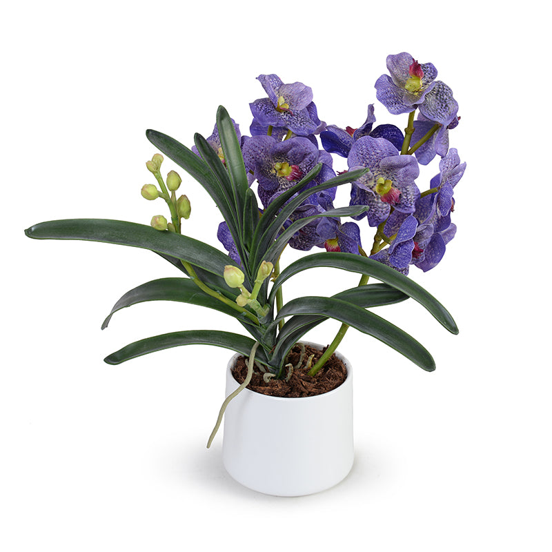 Vanda Orchids in Porcelain, 17"H