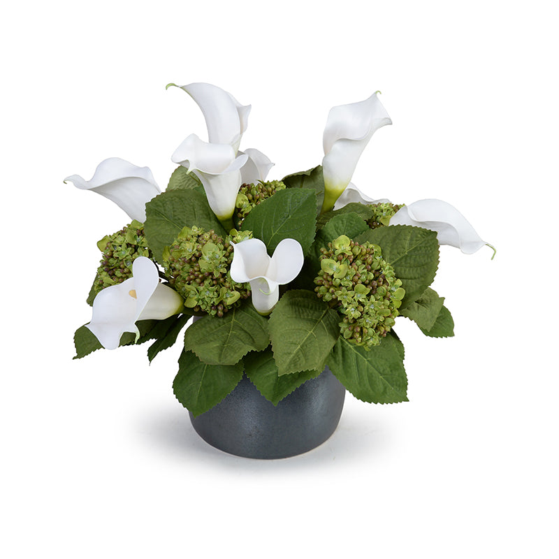 Calla Lily & Hydrangea Buds Arrangement 15"H