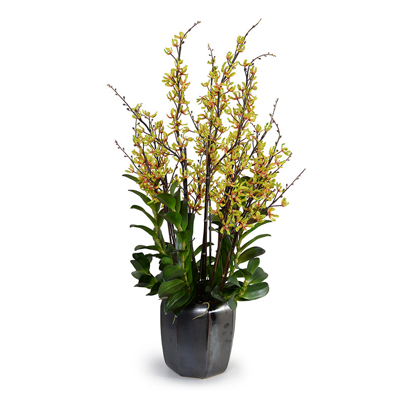 Aranda Orchids in Porcelain