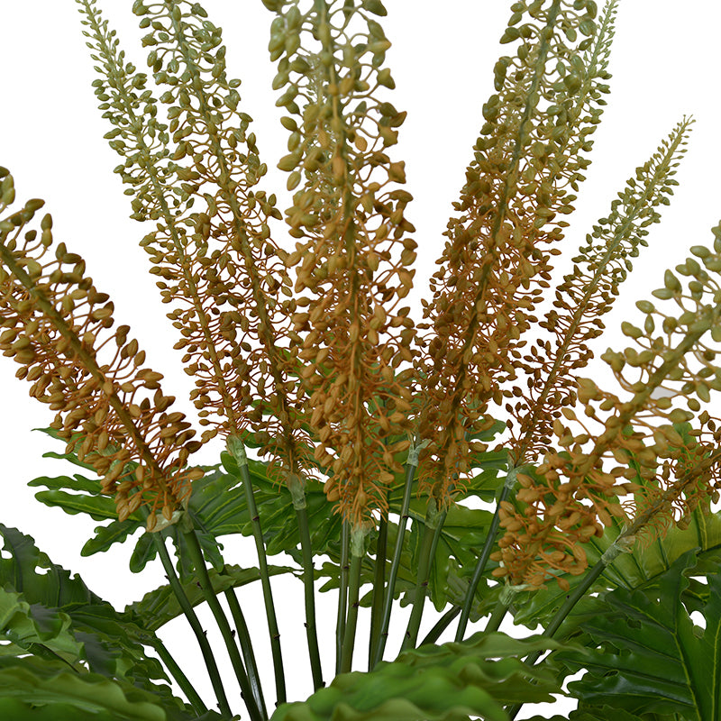 Eremurus & Philodendron in Octogonal Vase 44"H