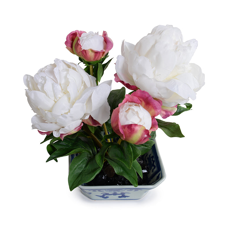 Peony Cutting in Blue & White