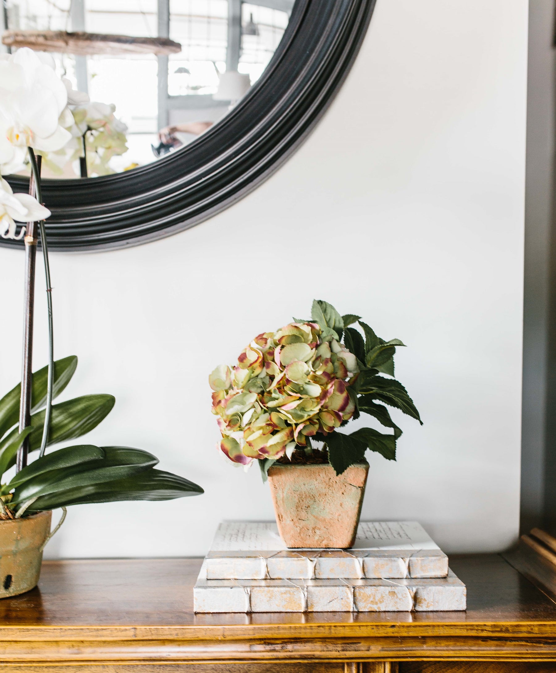 New Growth Designs Artificial Flowers, Plants, Trees, and Greenery