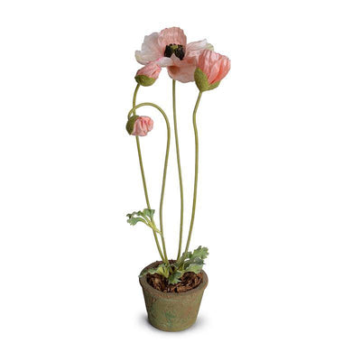 Poppy in Terracotta 20"H