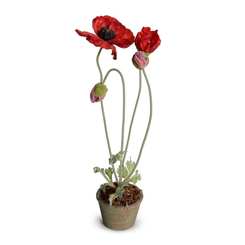 poppy plant pot Poppy in Terracotta 20"H – New Growth Designs