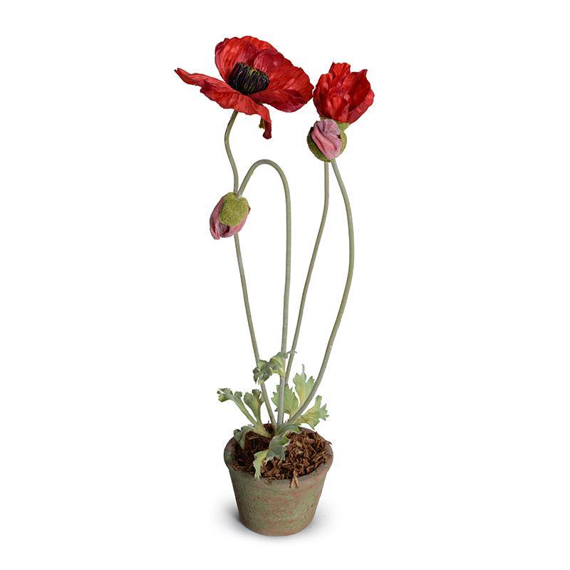 Poppy in Terracotta 20"H