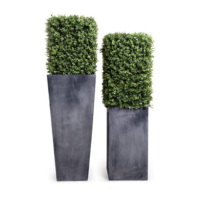 Boxwood Column 22"H