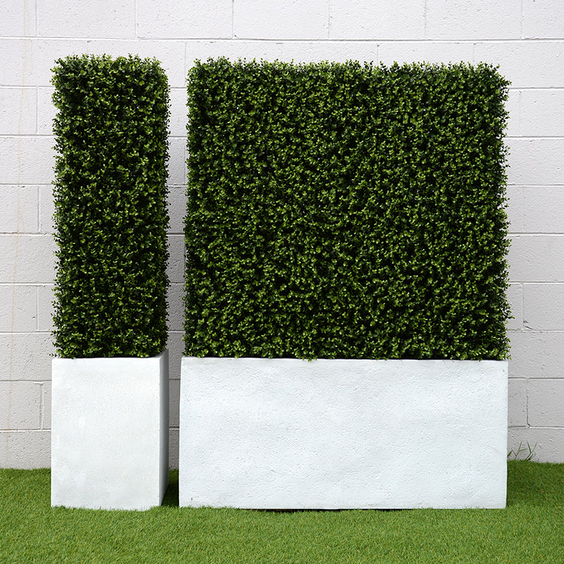 Boxwood Column 42"H