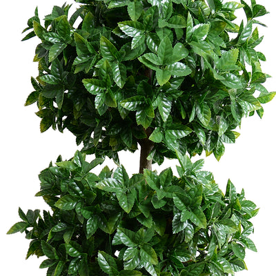 Holly Leaf Topiary