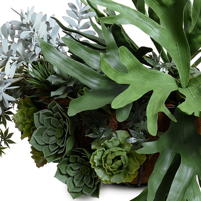 Staghorn & Succulents Mixed Hayrack Planter