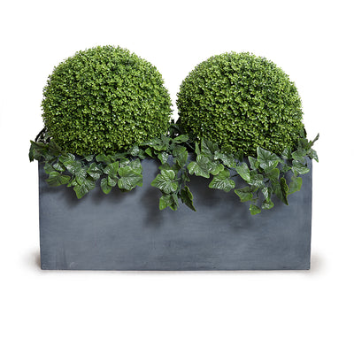 Boxwood Balls with Ivy vines in 45" Planter, 41"H