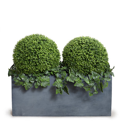 Boxwood Balls w/Ivy Vines in Planter - 41"H