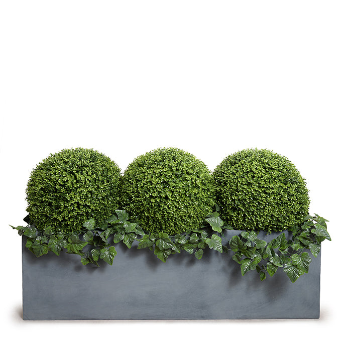 Boxwood Balls w/Ivy Vines in Planter - 41"H
