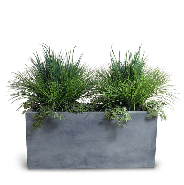 Onion, Orchard Grass w/Vine x2 and 45" Planter