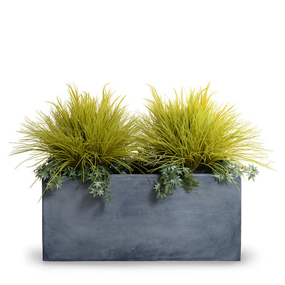 Onion, Orchard Grass w/Vine x2 and 45" Planter