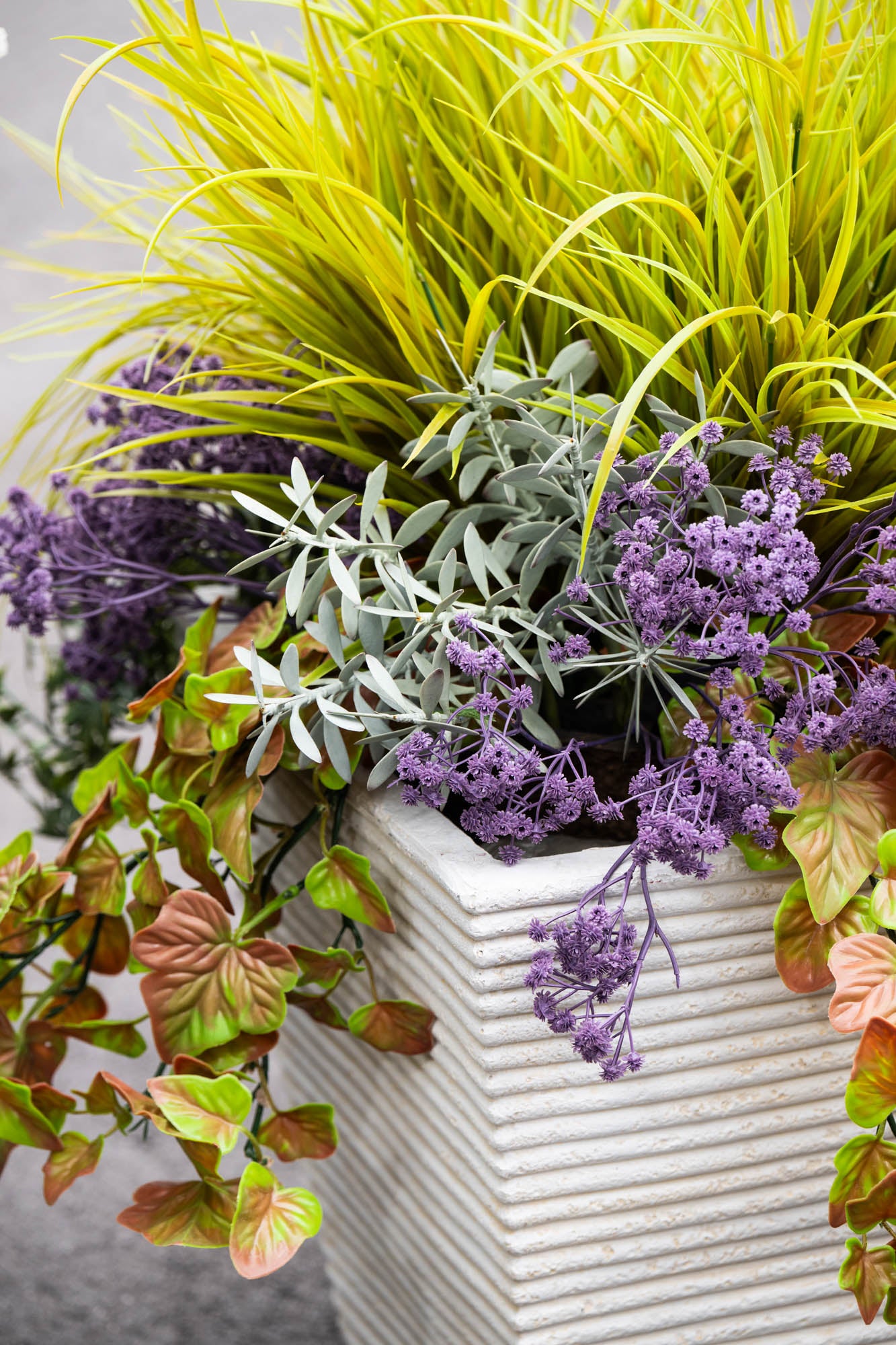 succulents and ivy Grasses, Ivy, Succulents, & Vines Arrangement – New Growth Designs