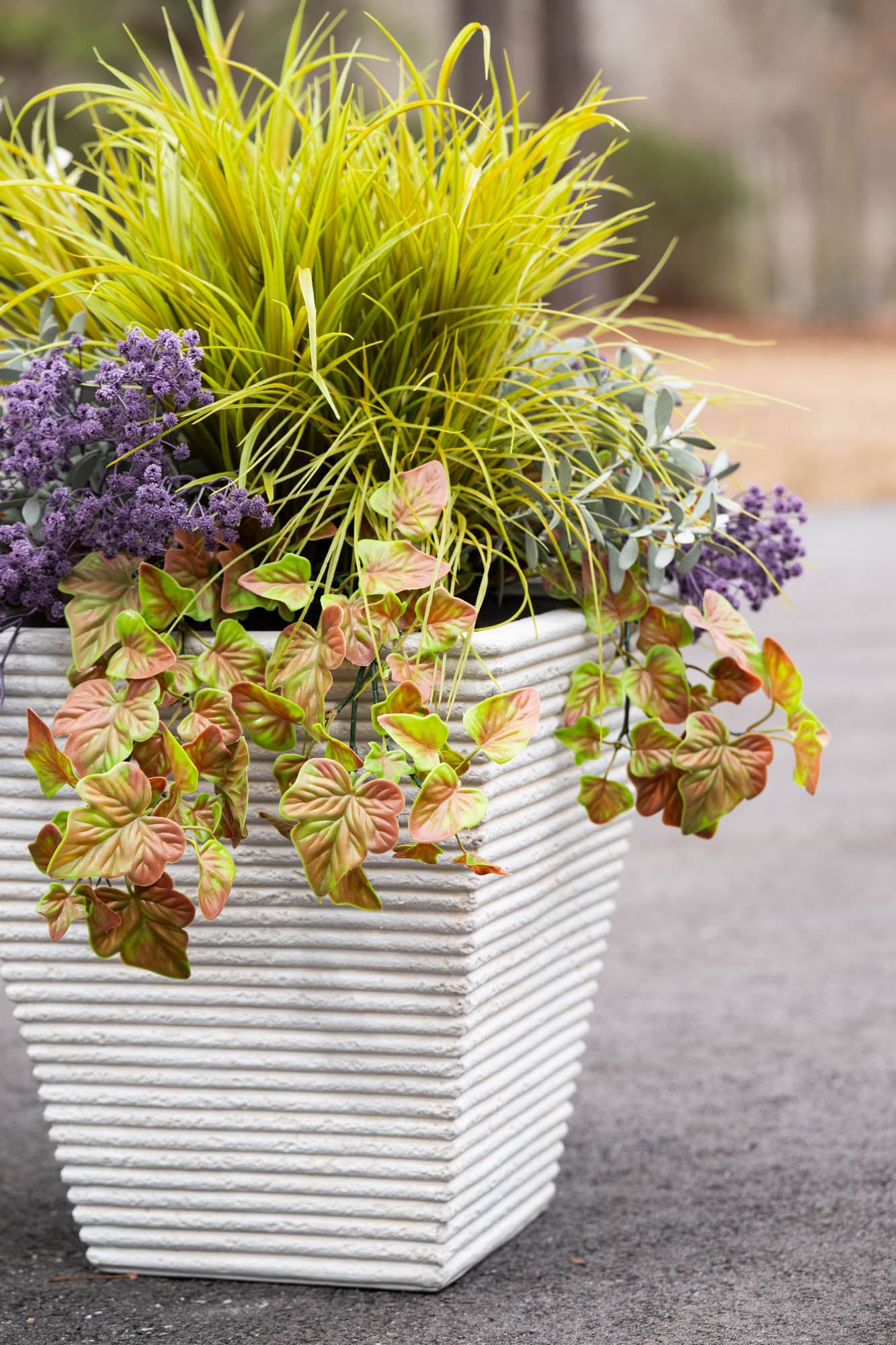 grasses and succulents Grasses, Ivy, Succulents, & Vines Arrangement – New Growth Designs