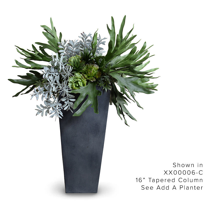 Staghorn Fern & Succulents Arrangement – New Growth Designs