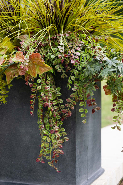 Mixed Grasses & Vines Arrangement