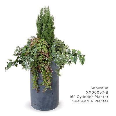 Cypress & Vines Arrangement