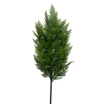 Arborvitae Branch - 33"L