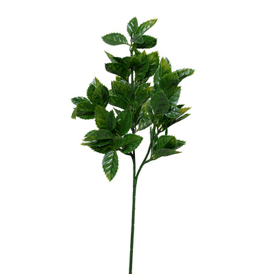 Holly Leaf Stem, 24.5"L