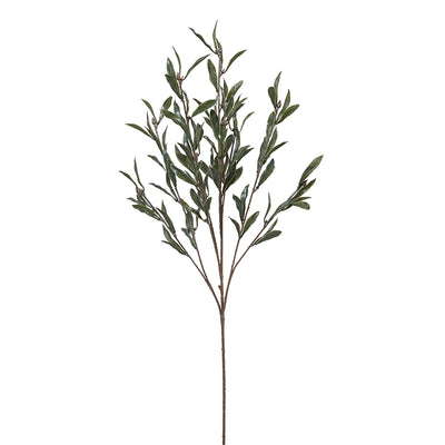 Olive Leaf spray, 32"L