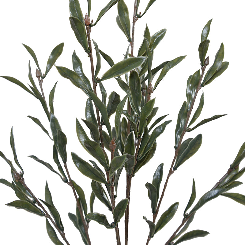 Olive Leaf spray, 32"L