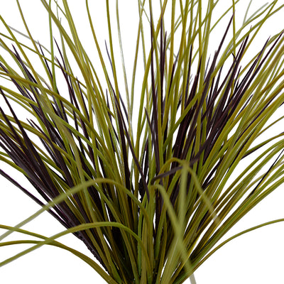 Onion Grass Spray 20"