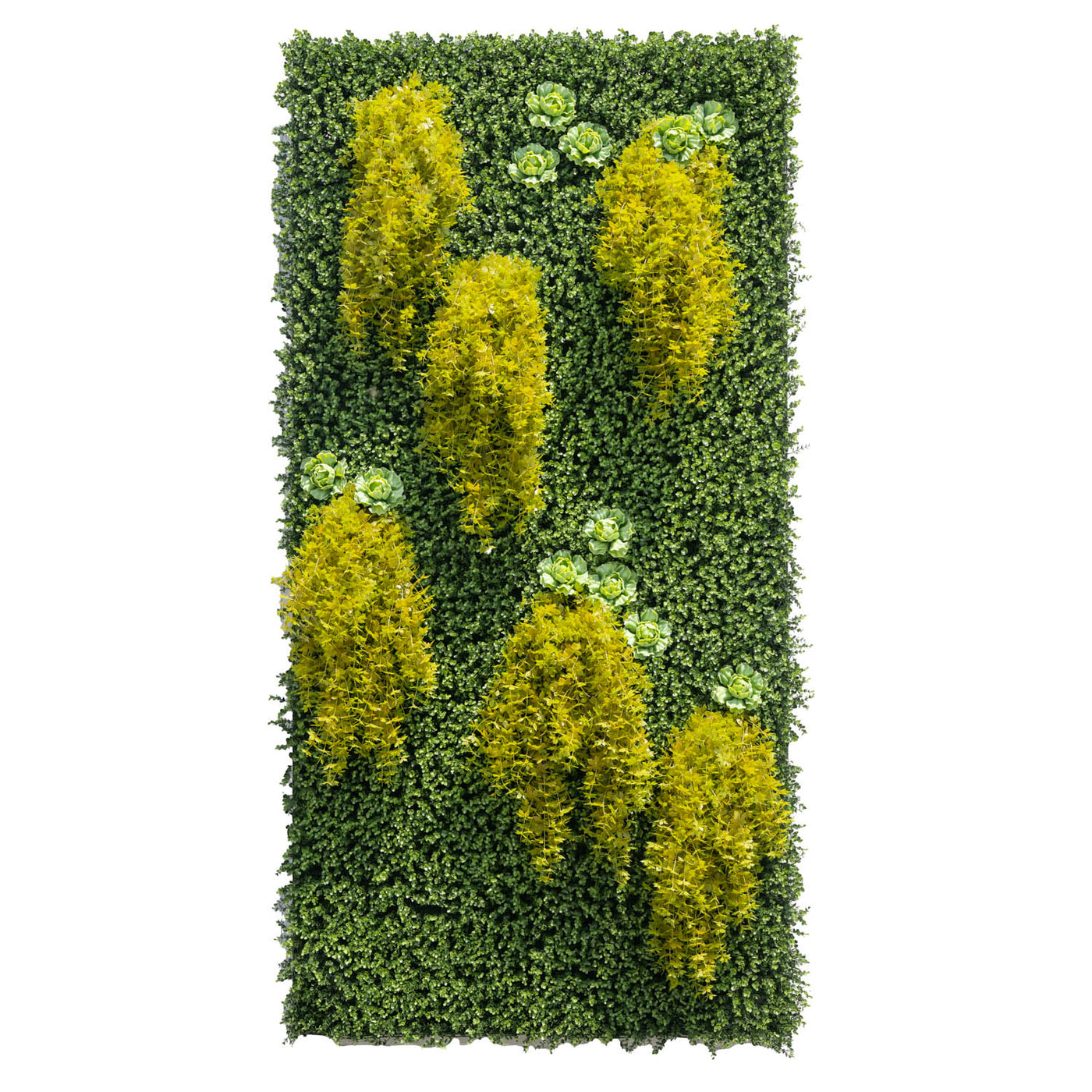 Wallscape 4' x 8' Green Wallscape Kit - Boxwood, Ginseng vines, Succulents – New ...