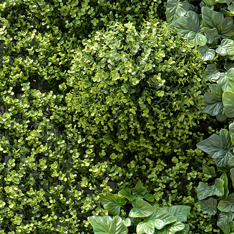 4' x 8' Green Wallscape Kit - Boxwood, Half-balls, Ivy