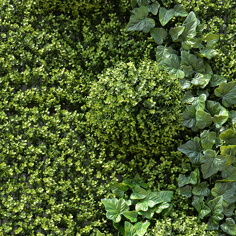 4' x 8' Green Wallscape Kit - Boxwood, Half-balls, Ivy