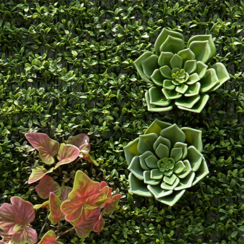 4' x 8' Green Wallscape Kit - Tea Leaf, Ivy, Succulents