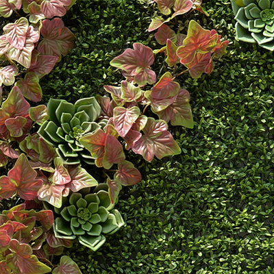 4' x 8' Green Wallscape Kit - Tea Leaf, Ivy, Succulents