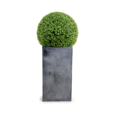 Boxwood Ball in Column Planter