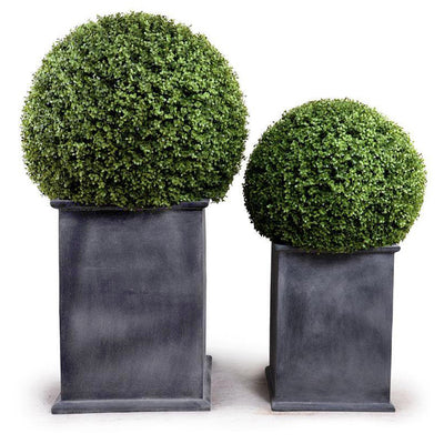 Boxwood Ball in Column Planter w/ Lip