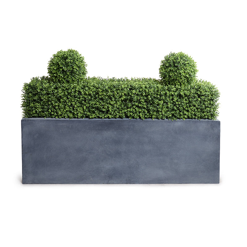 Boxwood Hedge in Planter 32"H