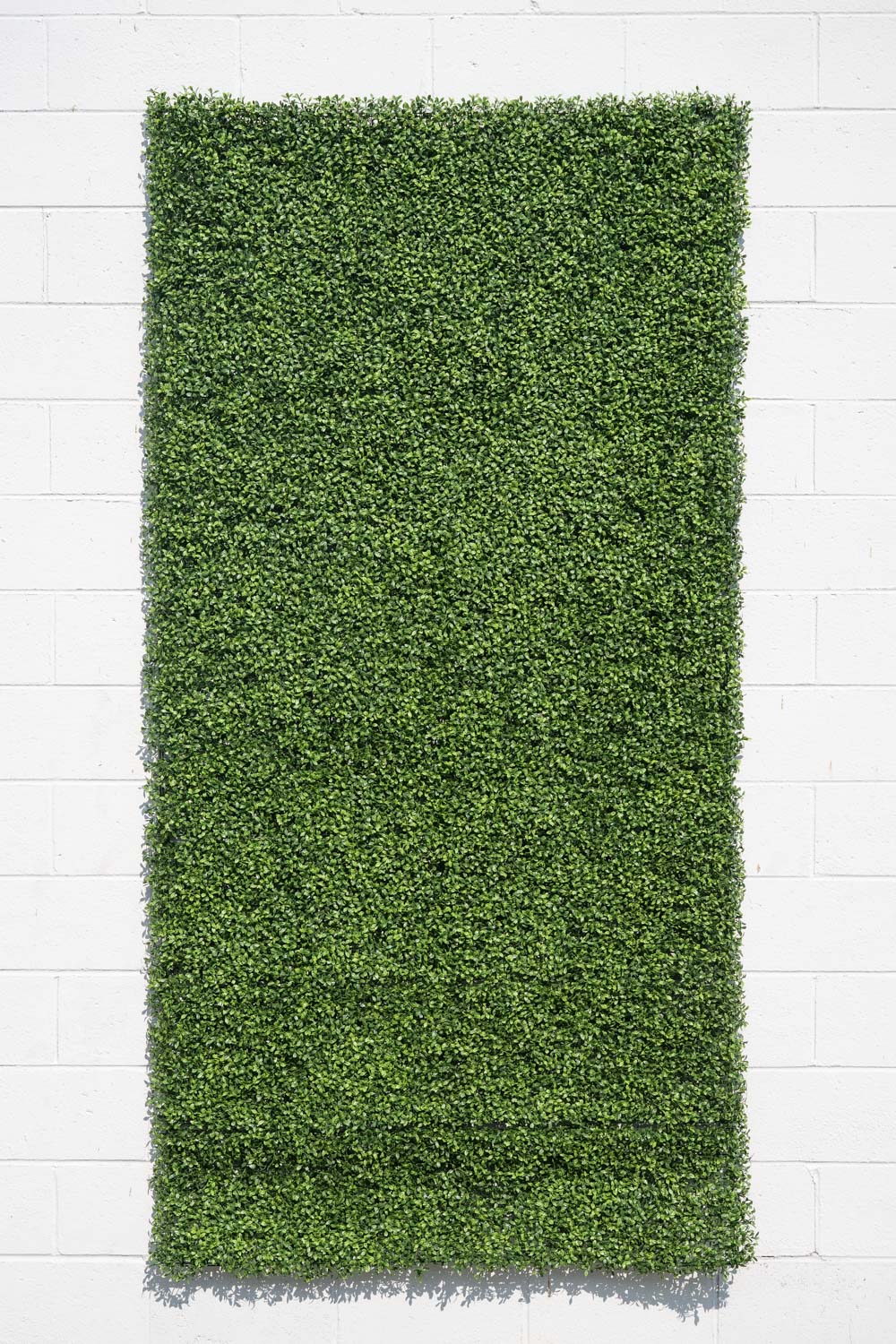 4' x 8' Tea Leaf Panel – New Growth Designs