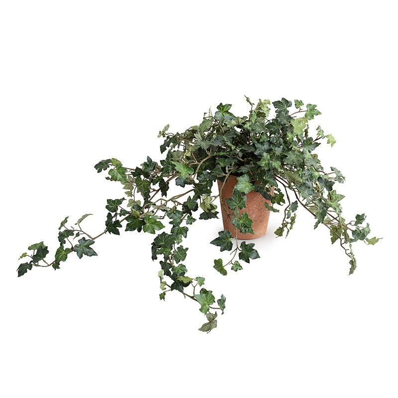 High-Quality Wholesale Artificial Ivy Indoor Plant in Terracotta Tom Pot - New Growth Designs