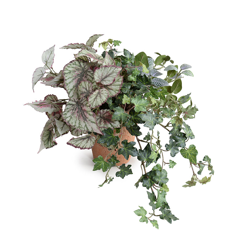 Begonia, Fittonia & Ivy Wholesale Faux Indoor Plants in Terracotta Pot 12 Inches Tall - New Growth Designs