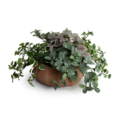 Fittonia, Creeping Fig and Rex Begonia Wholesale Artificial Indoor Plants in Clay Bowl - New Growth Designs