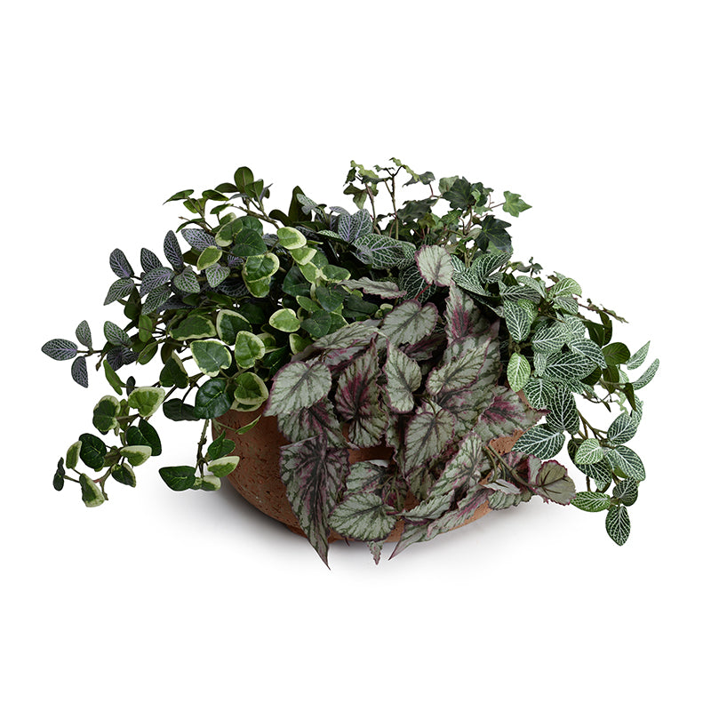 Ivy, Pumila, Begonia and Fittonia Wholesale Faux Indoor Plants in Clay Bowl - New Growth Designs