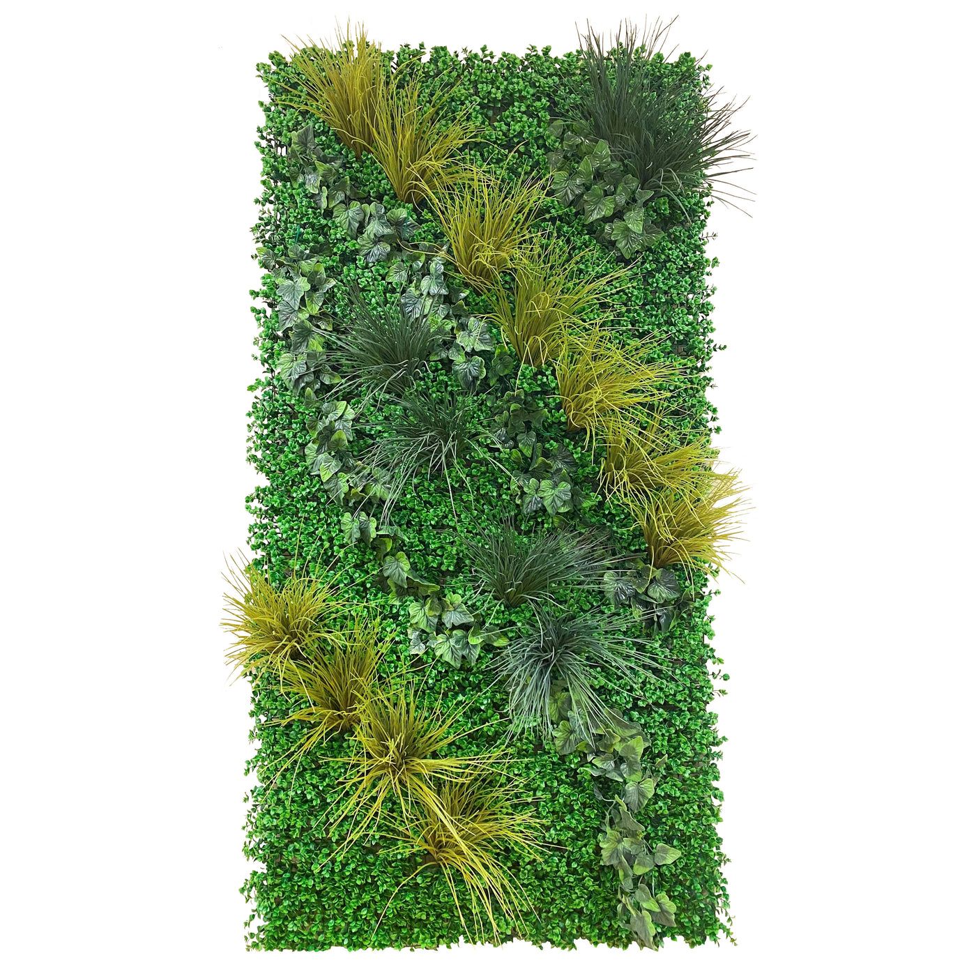 4' x 8' Green Wallscape Kit - Pachysandra, Grasses, Ivy