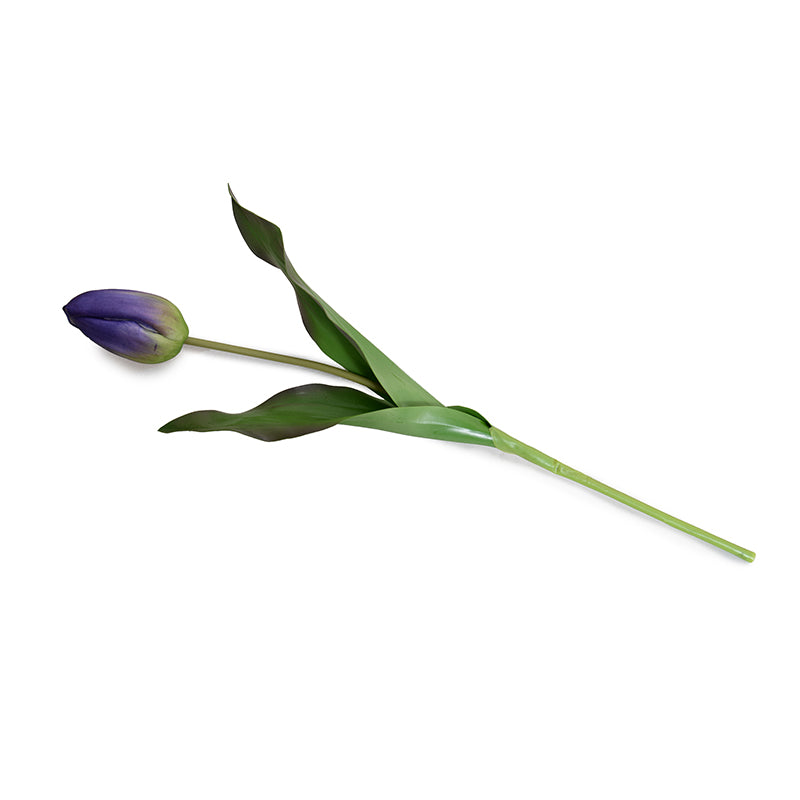 Tulip Stem, Dutch, 18"L - Purple-green