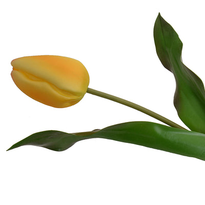 Tulip Stem, Dutch, 18"L - Golden yellow
